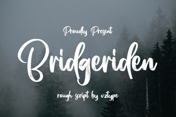 Bridgeriden: A Stylish Script Font for Modern Branding