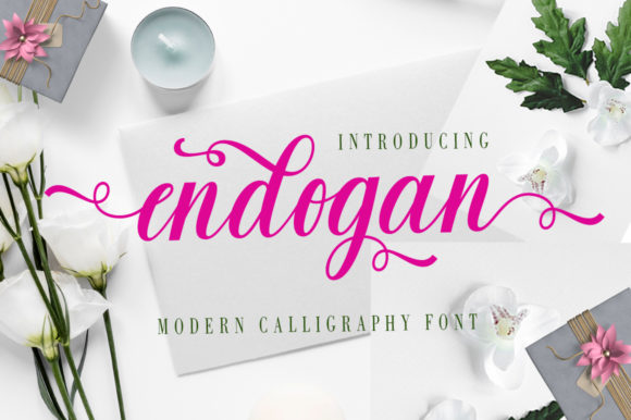 Endogan: The Friendly Script Font for Modern Brands