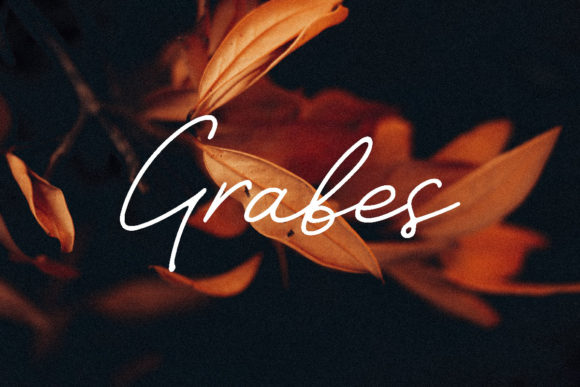 Grabes: A Delicate Script Handwritten Font for Editors