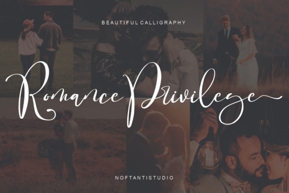 Romance Privilege Font for Elegant Web Design