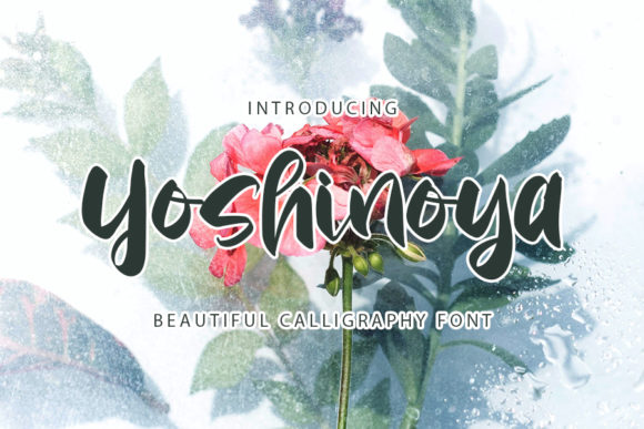 Yoshinoya: A Timeless Script Typeface for Editorial Design